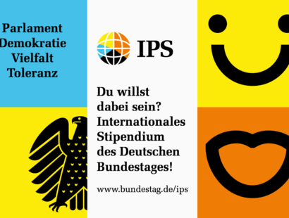 Stage parlementaire international (IPS)