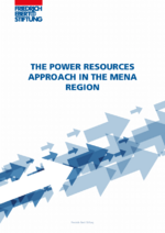 The power resources approach in the MENA region