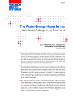 The water-energy nexus in Iran