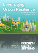 Leveraging urban resilience for sustainable cities in the Arab world