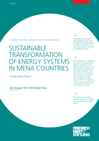 Sustainable transformation of energy systems in MENA Countries