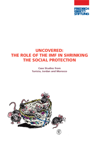 Uncovered: the role of the IMF in shrinking the social protection