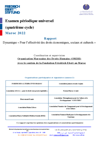 Rapport dynamique "Pour lʿeffectivité des droits économiques, sociaux et culturels"