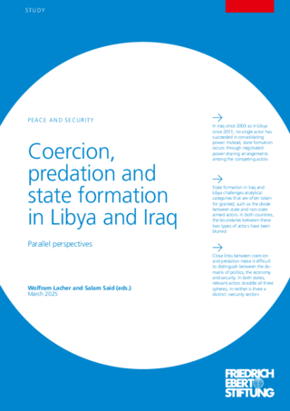 Coercion, predation and state formation in Libya and Iraq